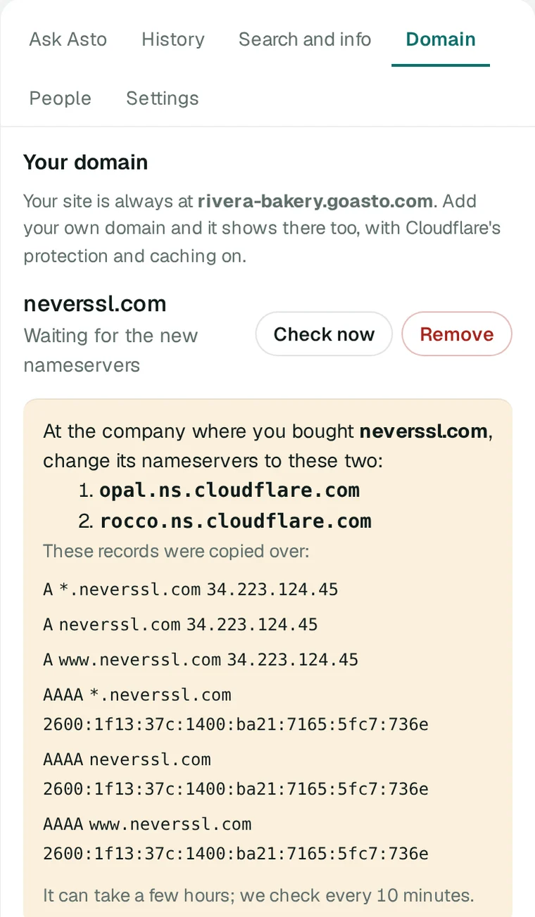 The Domain screen with a domain not on Cloudflare: the two Cloudflare nameservers to set where it was bought, and the records copied over.